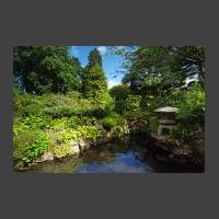 Kildare Japanese garden