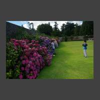 Powerscourt - Walled Gardens